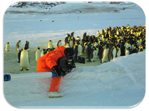 Jerome films “March of the Penguins”