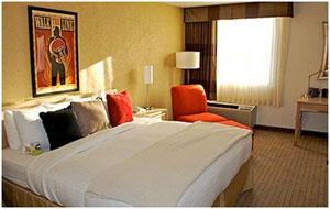 My very spacious room