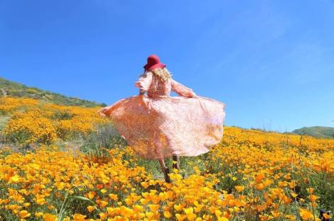 58e21a851400008b06072f23